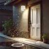 玄関前に虫イメージ