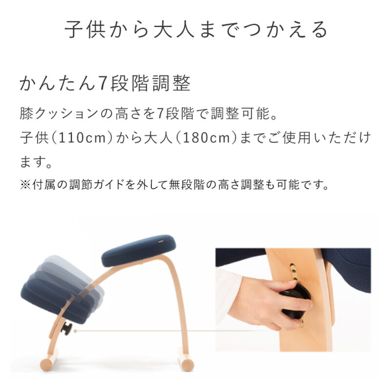 バランスイージー特殊な椅子イメージ
