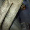 室外機裏に蜂の巣