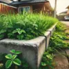 道路に出る雑草イメージ